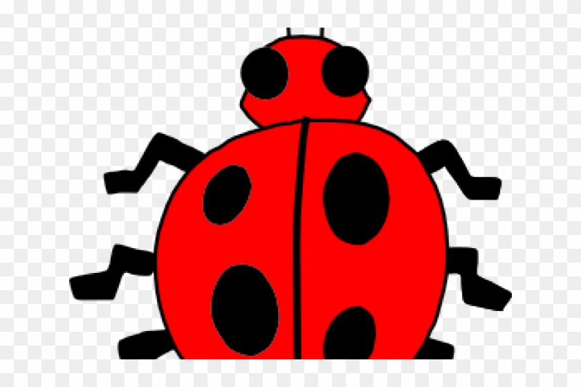 Insect Clipart Ladybug - Clipart Picture Of Bug #1439672