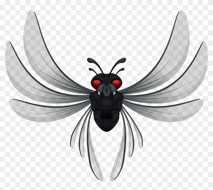 All Photo Png Clipart - House Fly #1439691