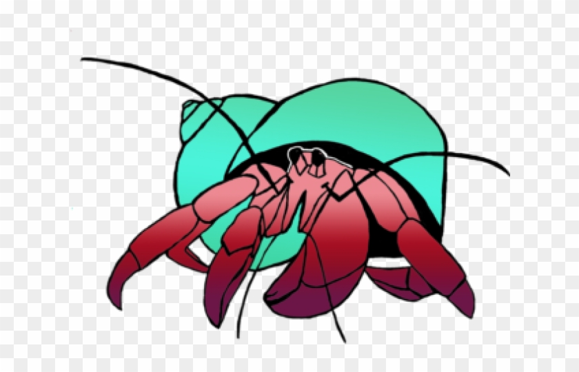 Hermit Crab Free #1439856