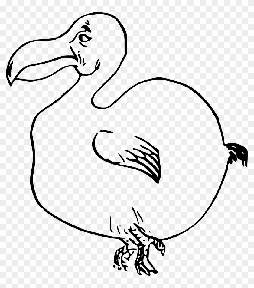 Mallard Drawing Outline Clip Art Black And White Library - Dodo Clip Art #1440006