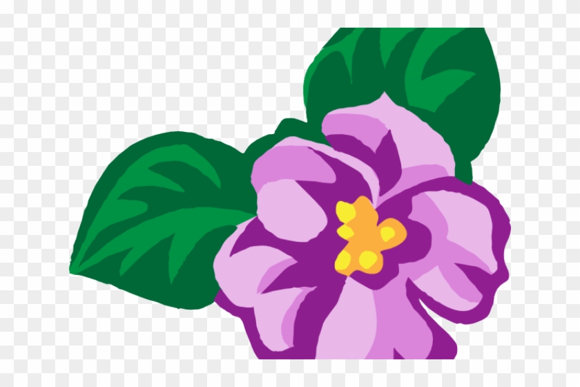 Alpha Kappa Alpha Clipart - African Violet Violet Flower Clipart #1440375