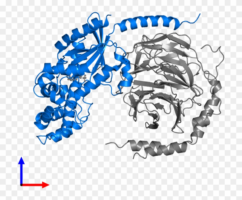 Pdb 3ah8 Contains 1 Copy Of Guanine Nucleotide Binding - Illustration #1440403