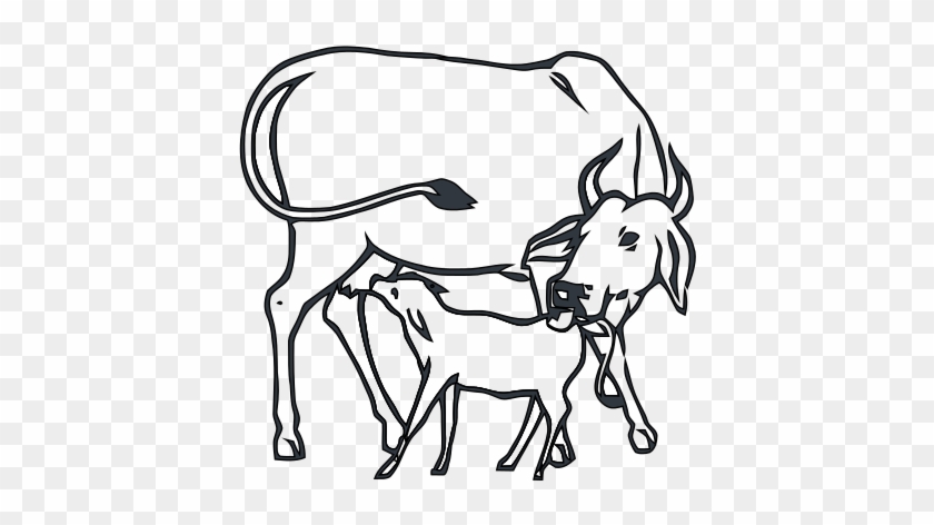 Svg Transparent Library Drawing At Getdrawings Com - Cow And Calf Drawing #1440434
