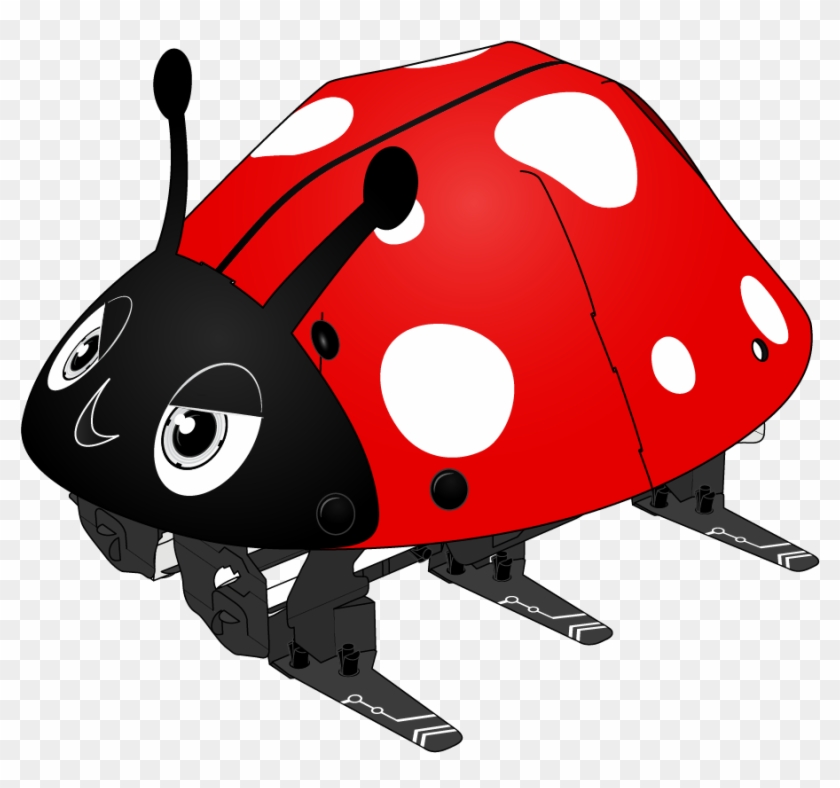 Ladybugs Clipart Body - Insect #1440639