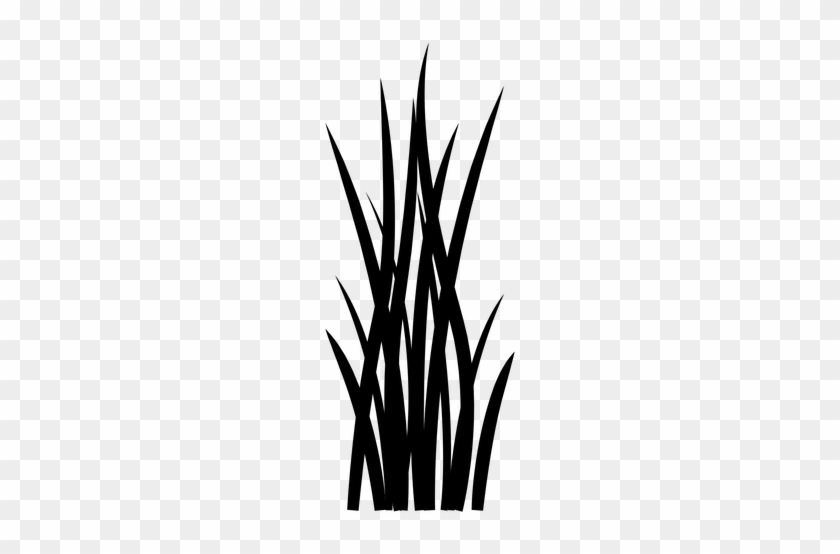 Clipart Royalty Free Agave Vector Art - Blade Of Grass Png #1440649