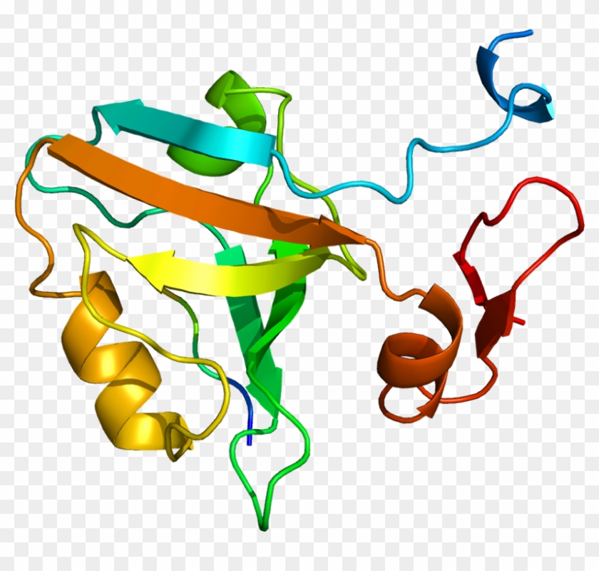 Psd95 Protein Structure #1440779