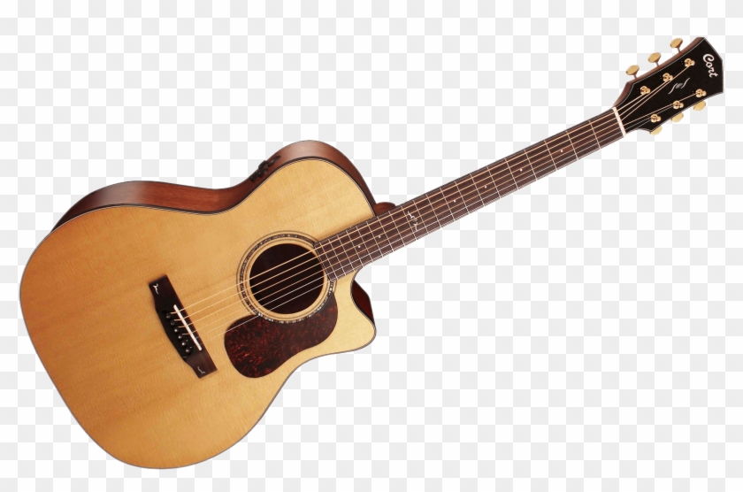 Drawing Guitar Acoustic - Cort Gold O6 Orchestra Natural #1441137