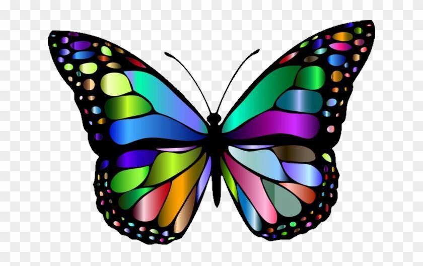 Report Abuse - Colorful Butterfly Wallpaper Hd - Free Transparent PNG  Clipart Images Download