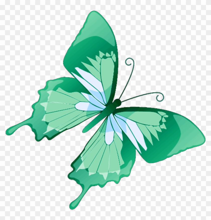 Butterfly Mariposa Diurna Day Diurnal Spring Primavera - Butterfly Vector #1441329