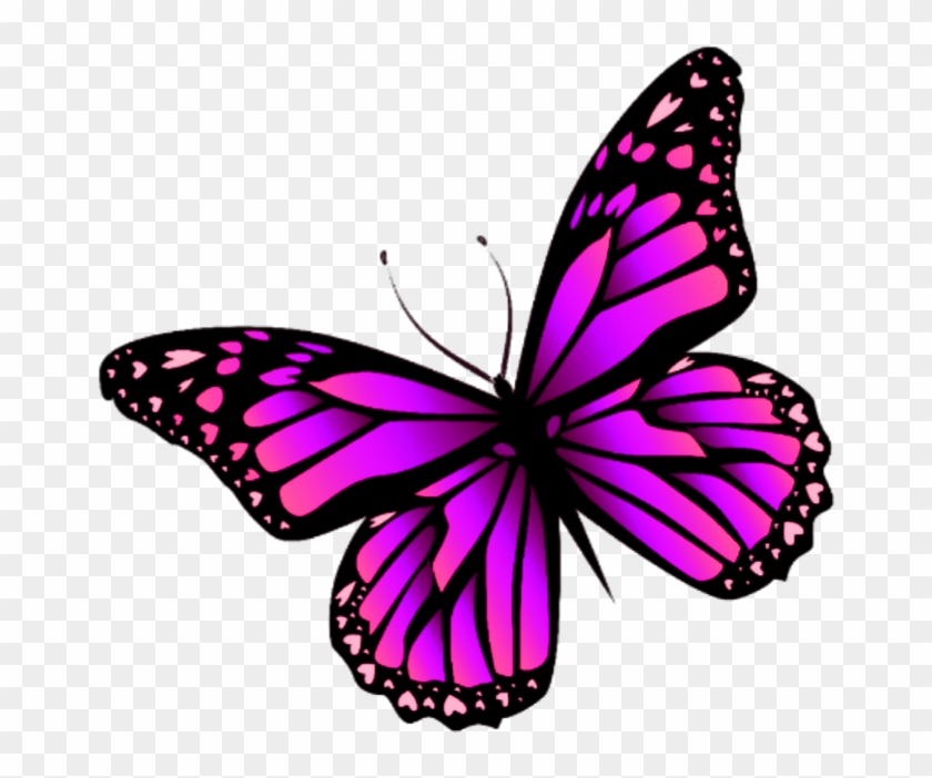 Butterfly Mariposa Monarch Monarca Nature Naturaleza - Butterfly Purple #1441330