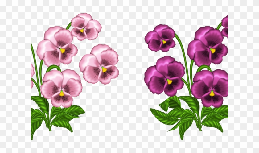 Pansy Clipart Swag - African Violets Clipart #1441861