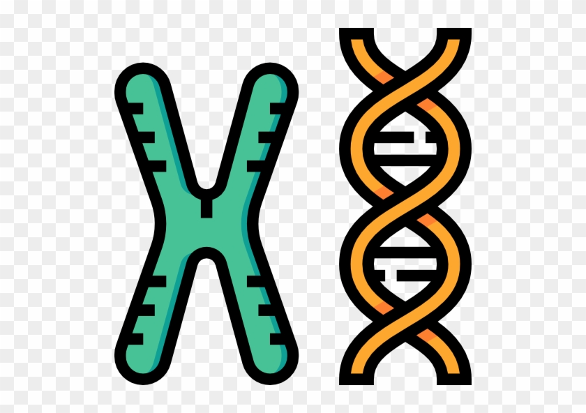 Biochemistry Clipart Biochemistry Clip Art - Chromosomes Icon #1442069