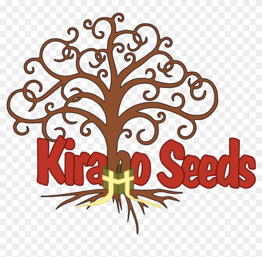 Kirabo Seeds Kirabo Seeds - Tree Of Life Tattoo Easy #1442991