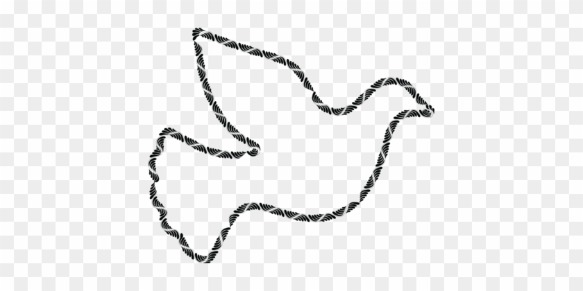 Columbidae Doves As Symbols Peace Symbols Drawing - Dove Clipart #1443066