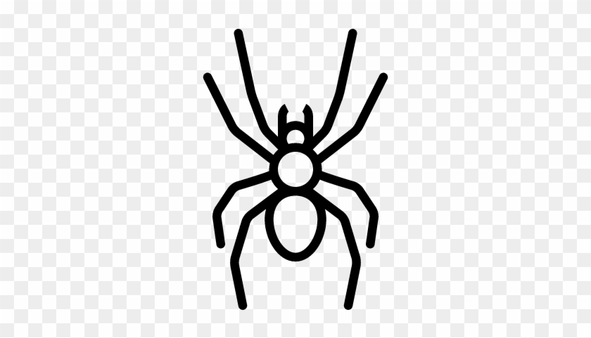 Big Spider Vector - Scalable Vector Graphics #1443155