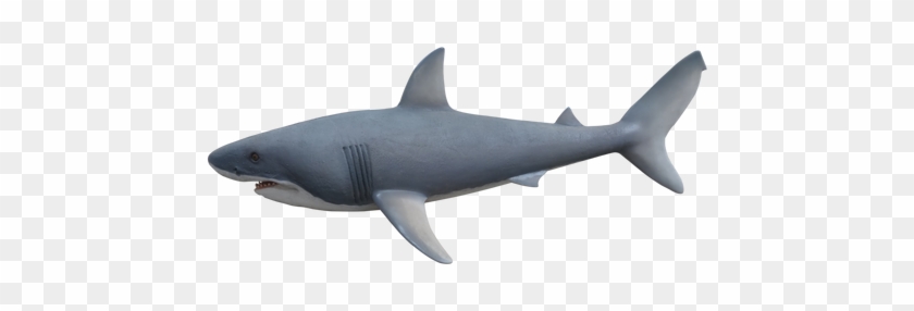 Shark Great White Life Size - Life-size 2 #1443171
