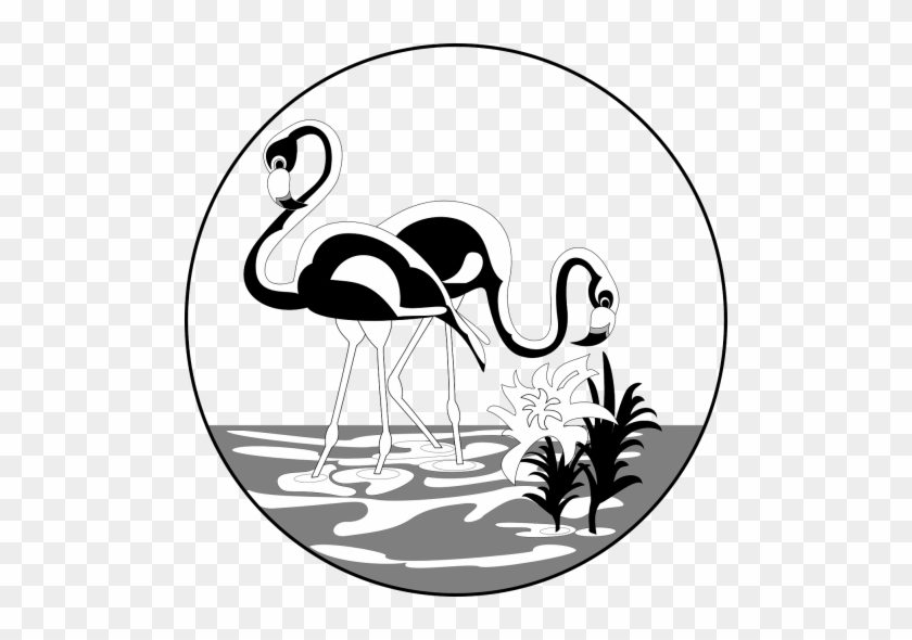 Free Black And White Flamingo #1443315