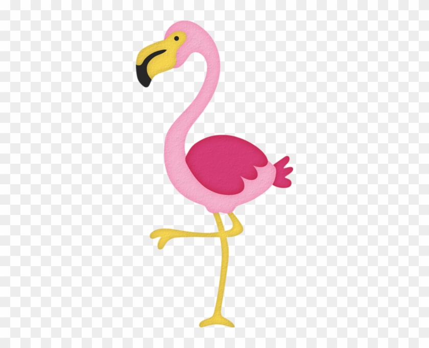 Greenacresgardens Buy Bosfloridaflamingo - Greater Flamingo #1443324