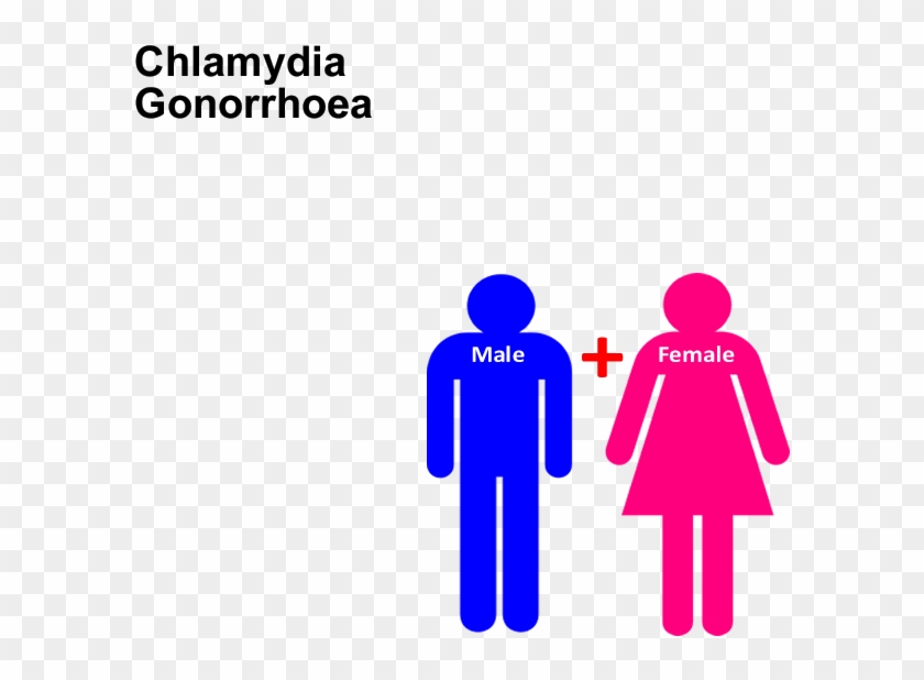 Sti Screening Test Chlamydia, Gonorrhoea - Male And Female Changing Room Signs #1443547