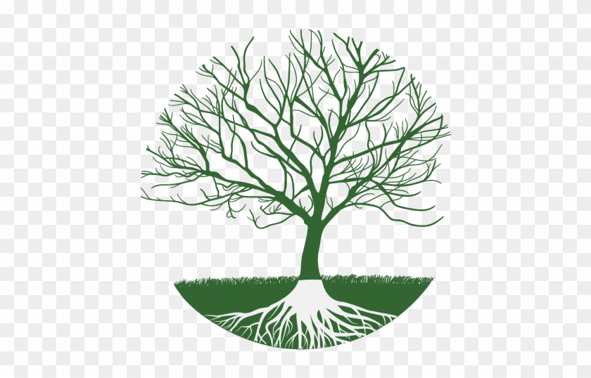 Family Tree Clipart - Realistic Tree Without Leaves #1443623