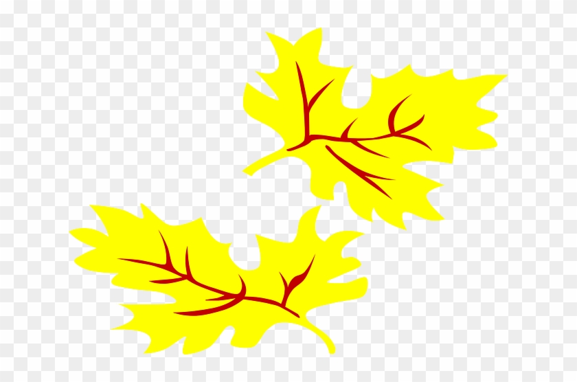 Fall, Plants, Leaf, Tree, Coloured, Cartoon, Plant - Fall Leaves Clip Art #1443860