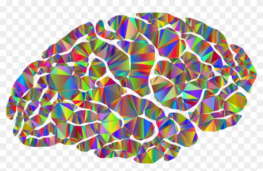Human Brain Neuroimaging Neuroscience - Brain #1444140