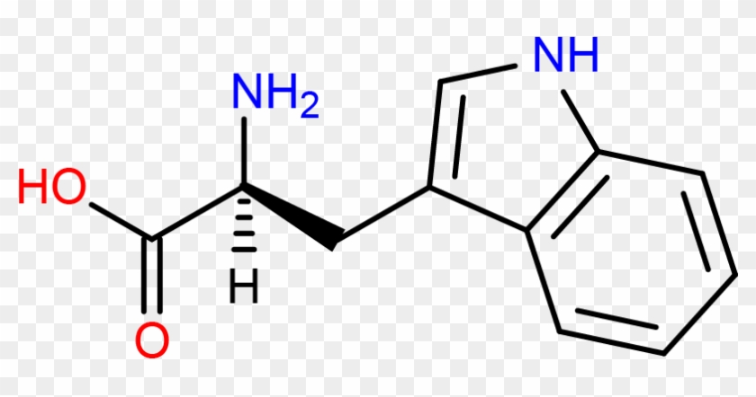 2 5 Dihydroxyterephthalic Acid #1444280