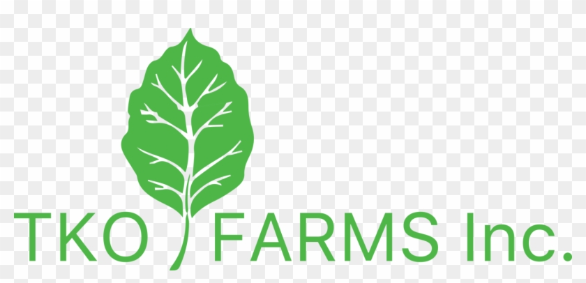 Farm Clipart Farmland - Tko Farms Logo #1444829