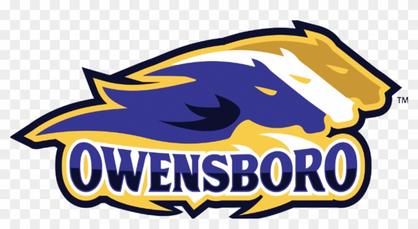 Owensboro Thoroughbreds Vs Albany Patroons Owensboro - Owensboro #1444910