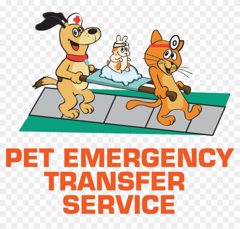 Housepaws Veterinarian Services In Nj Pa We Come To - God Emperor Of Dune [book] #1444923