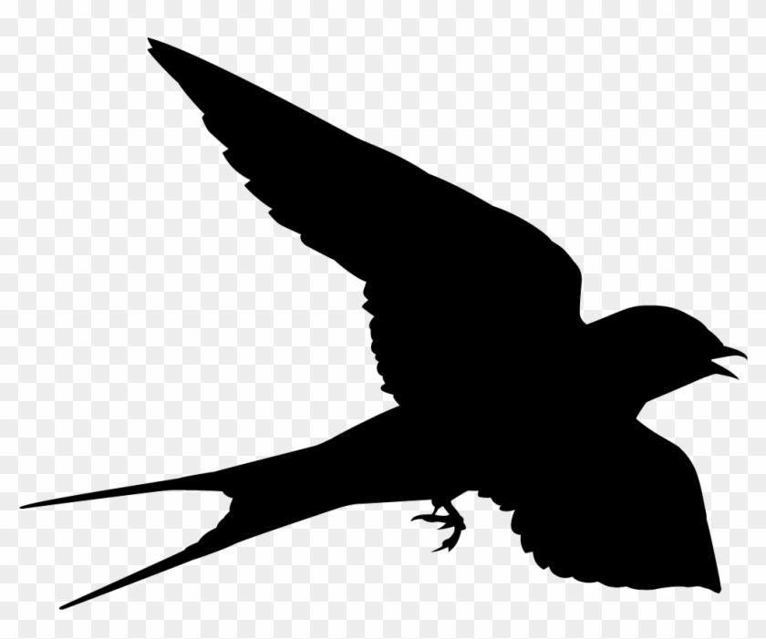 Swallows And Swifts - Black Swallow Bird #1445208