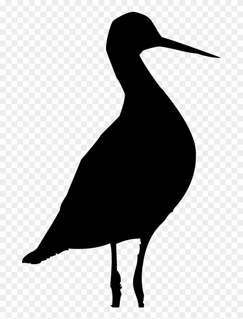 Shorebirds - Silhouette Sea Bird Png #1445209