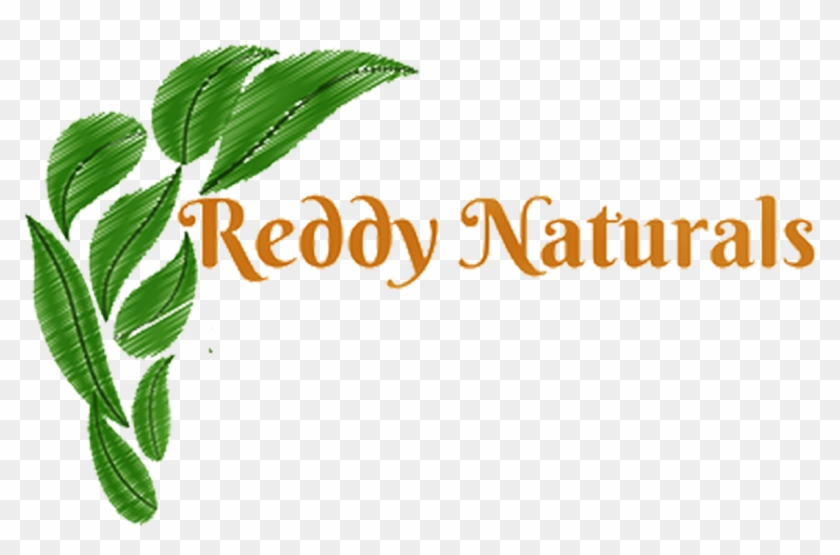 Reddy Naturals Reddy Naturals - Green Leaves Drawing #1445332