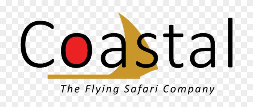 The Coastal Junior Pilot Cadet Program First Began - Coastal Aviation Logo Png #1445339
