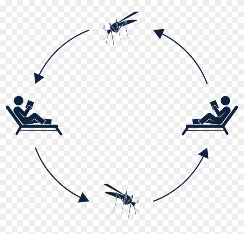 Www - Mayo - Edu - Resources/images/ - Www - Mayo - Edu - Resources/images/ #1445527