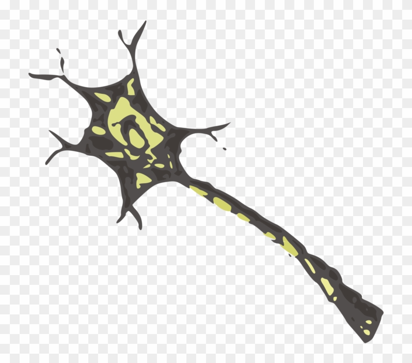 All Photo Png Clipart - Neuron .png #1445619