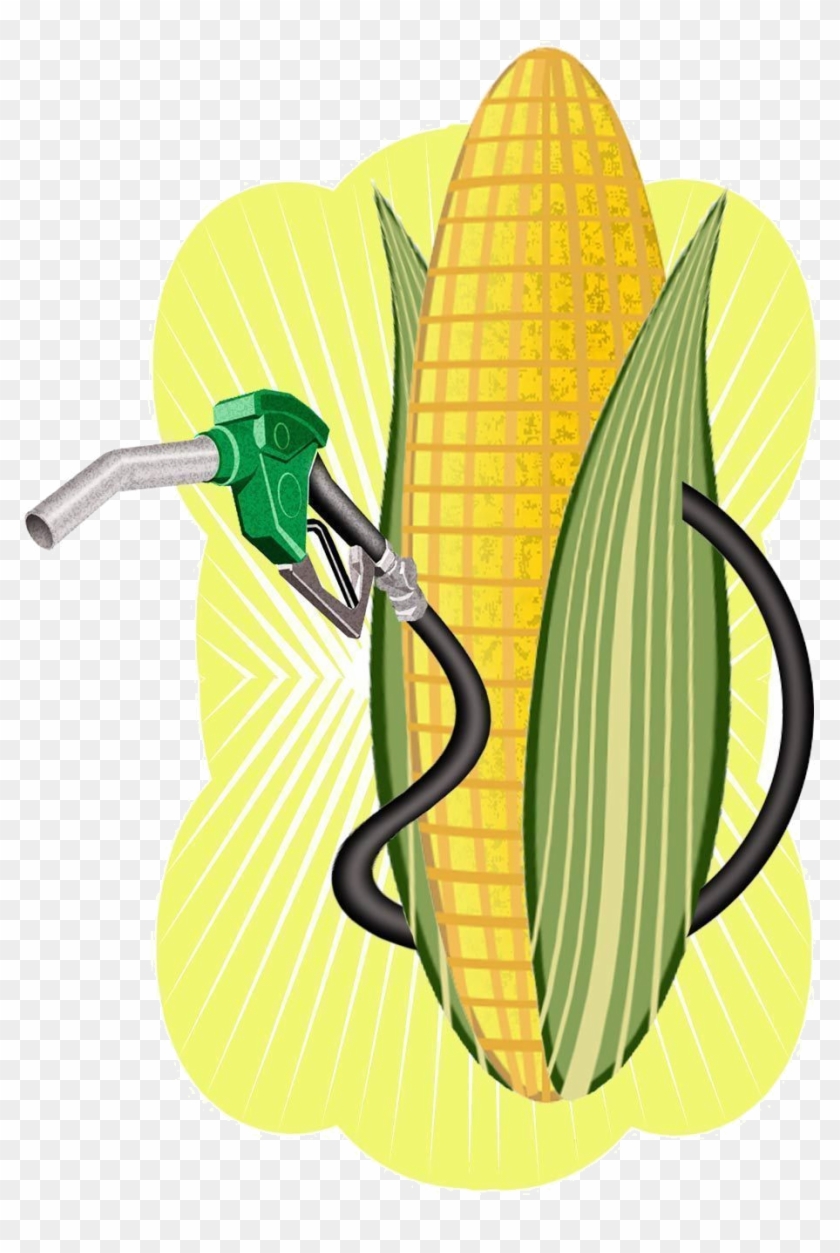 Corn Ethanol Clipart #1445754