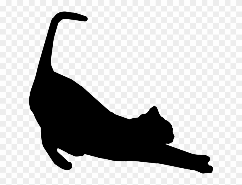 Shoulders Are Not Typically Weight Bearing Joints, - Cat Silhouette Clipart #1445848