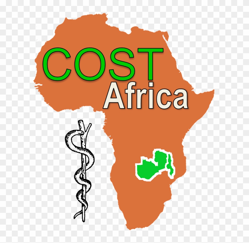 Clinical Officer Surgical Training In Africa Logo - Map Of Africa Silhouette #1446533