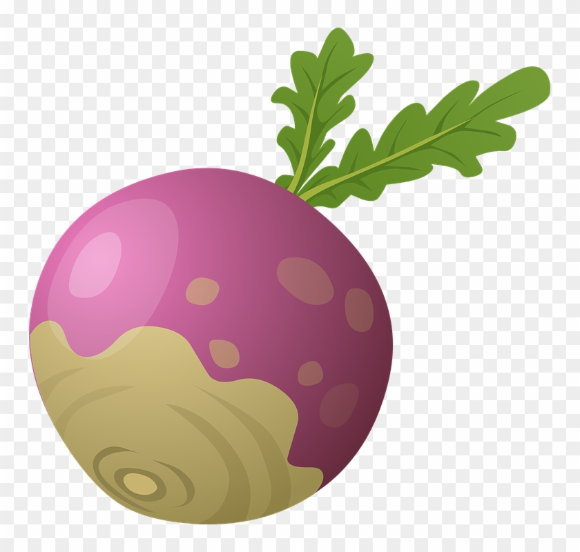 Beetroot Clipart Sugar Beet - Turnip Clipart #1446710