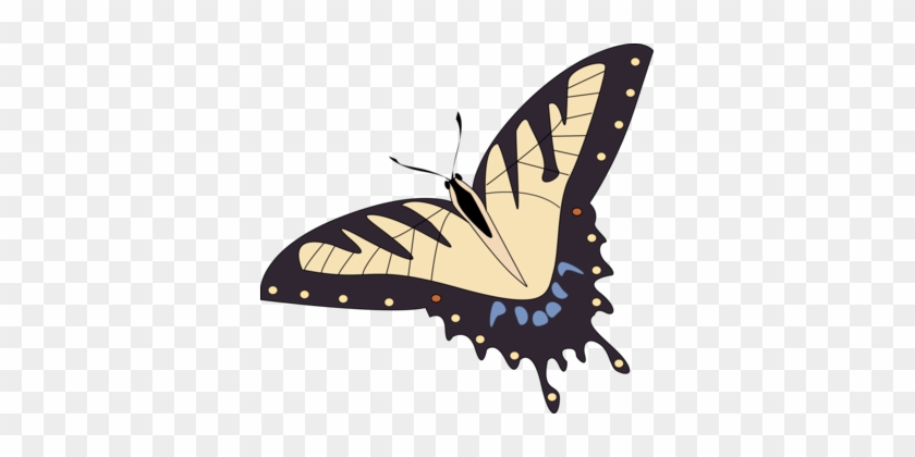 Butterfly Papillon Dog Insect Blue Morpho Luna Moth - Papillon Butterfly #1446748
