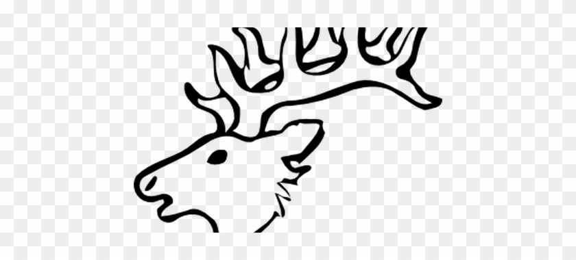 Deer Head K Pictures - Draw A Easy Deer #1447021