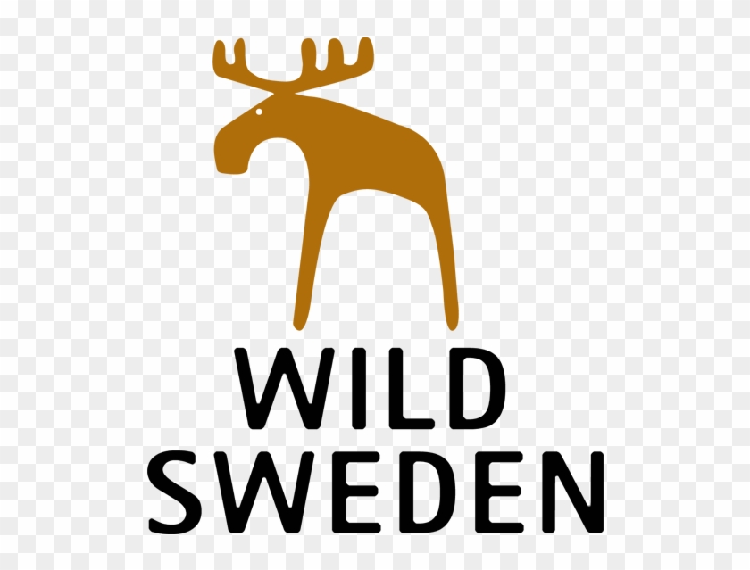 10 Wild Animals In Sweden Wildsweden - 10 Wild Animals In Sweden Wildsweden #1447043