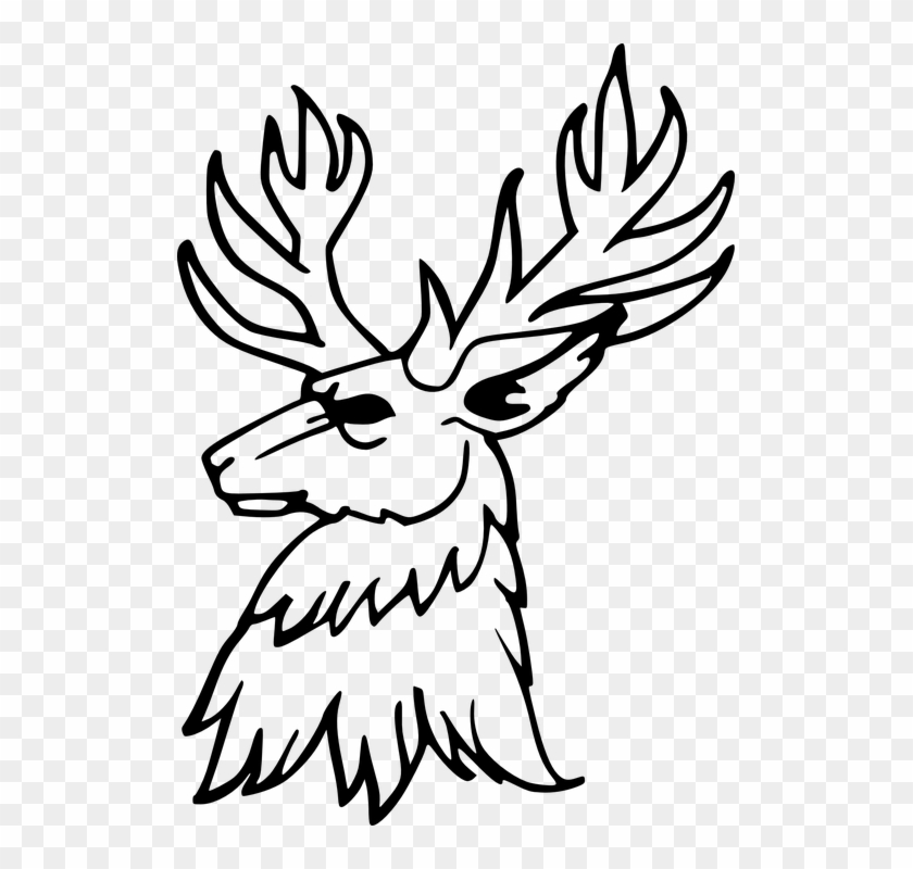 Drawn Stag Horn - Stag Clip Art #1447046