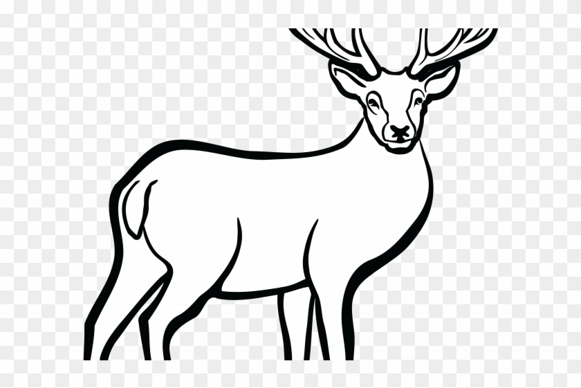 Dear Clipart Musk Deer - Deer Black And White #1447049