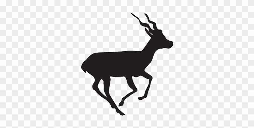 Dear Clipart Blackbuck - Black Buck Antelope Silhouette #1447063