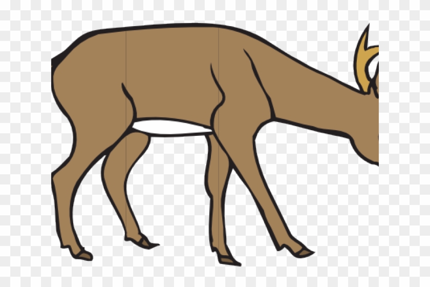 Dear Clipart Spotted Deer - Deer Eating Grass Drawing #1447067