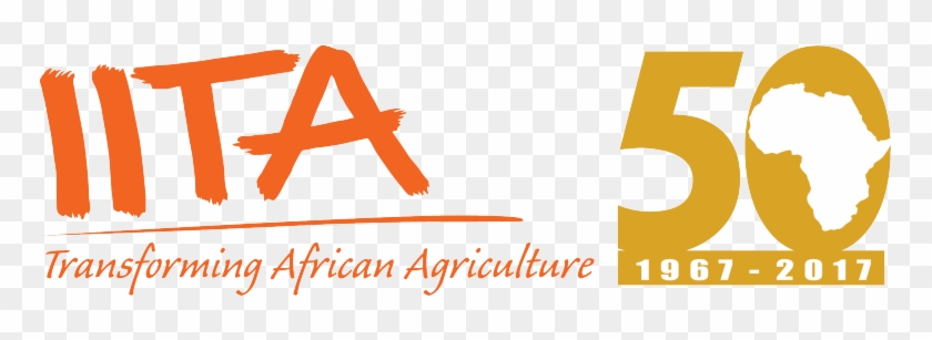 Ivorian Delegation In Nigeria To Learn Agripreneur - International Institute For Tropical Agriculture #1447094
