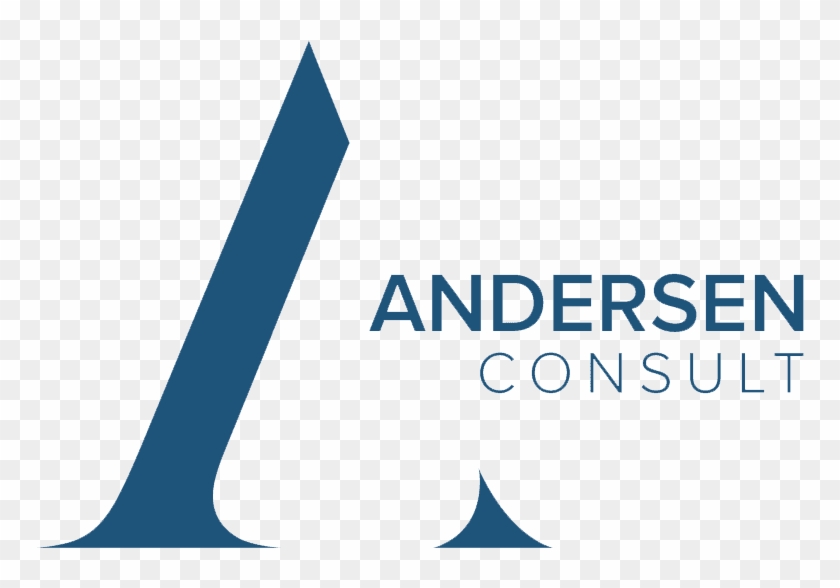 Danish Business Delegation To Morocco - Andersen Consult #1447129
