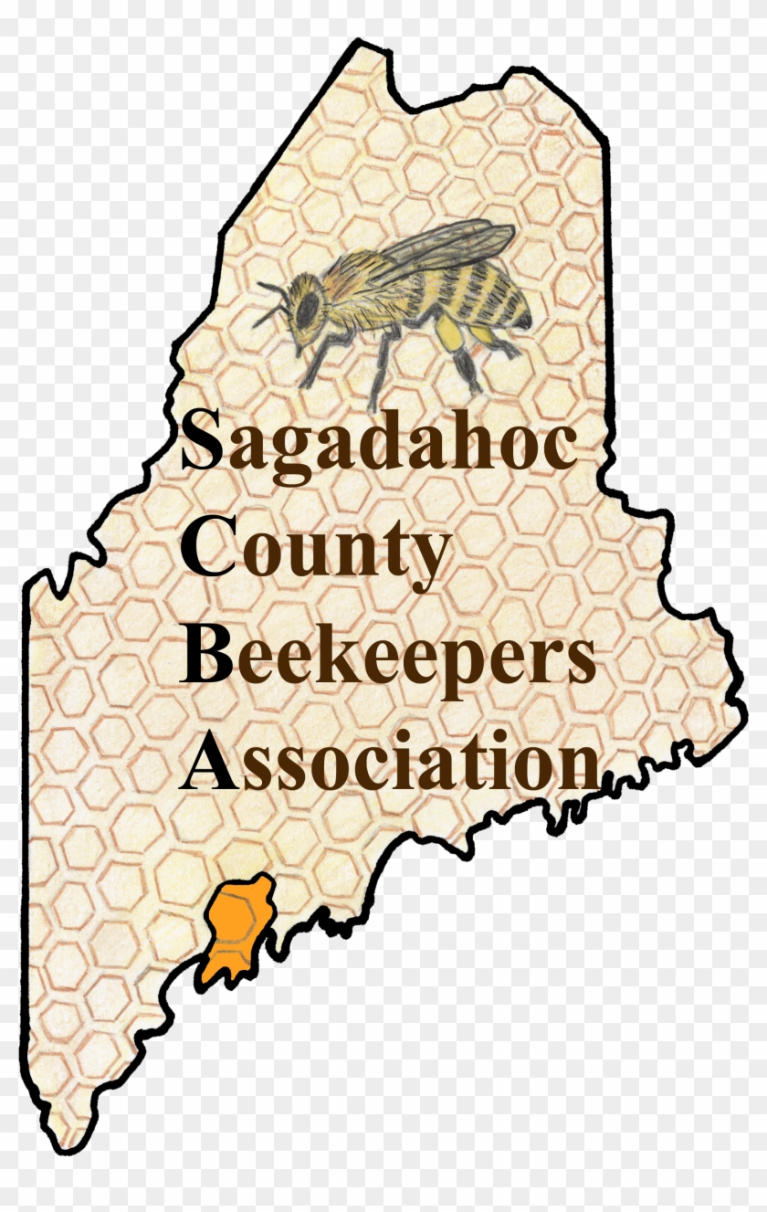 The Sagadahoc County Beekeepers Association Is A Non-profit - Illustration #1448116